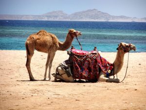 sharm el sheikh cosa sapere